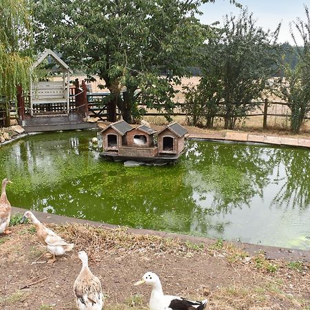 Villa South Wing Coldharbour Park Farm Rake Esterno foto
