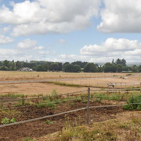 Villa South Wing Coldharbour Park Farm Rake Esterno foto