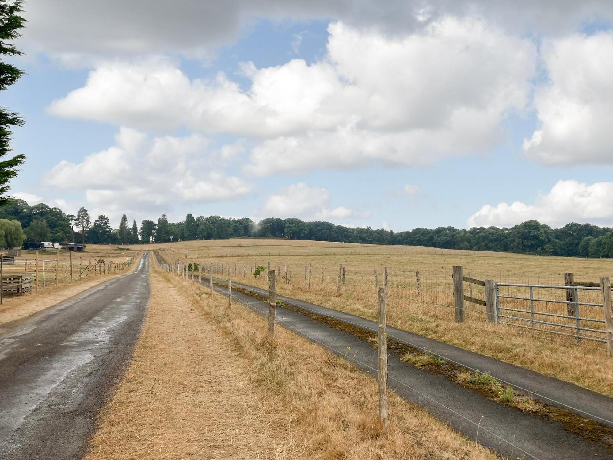 Villa South Wing Coldharbour Park Farm Rake Esterno foto
