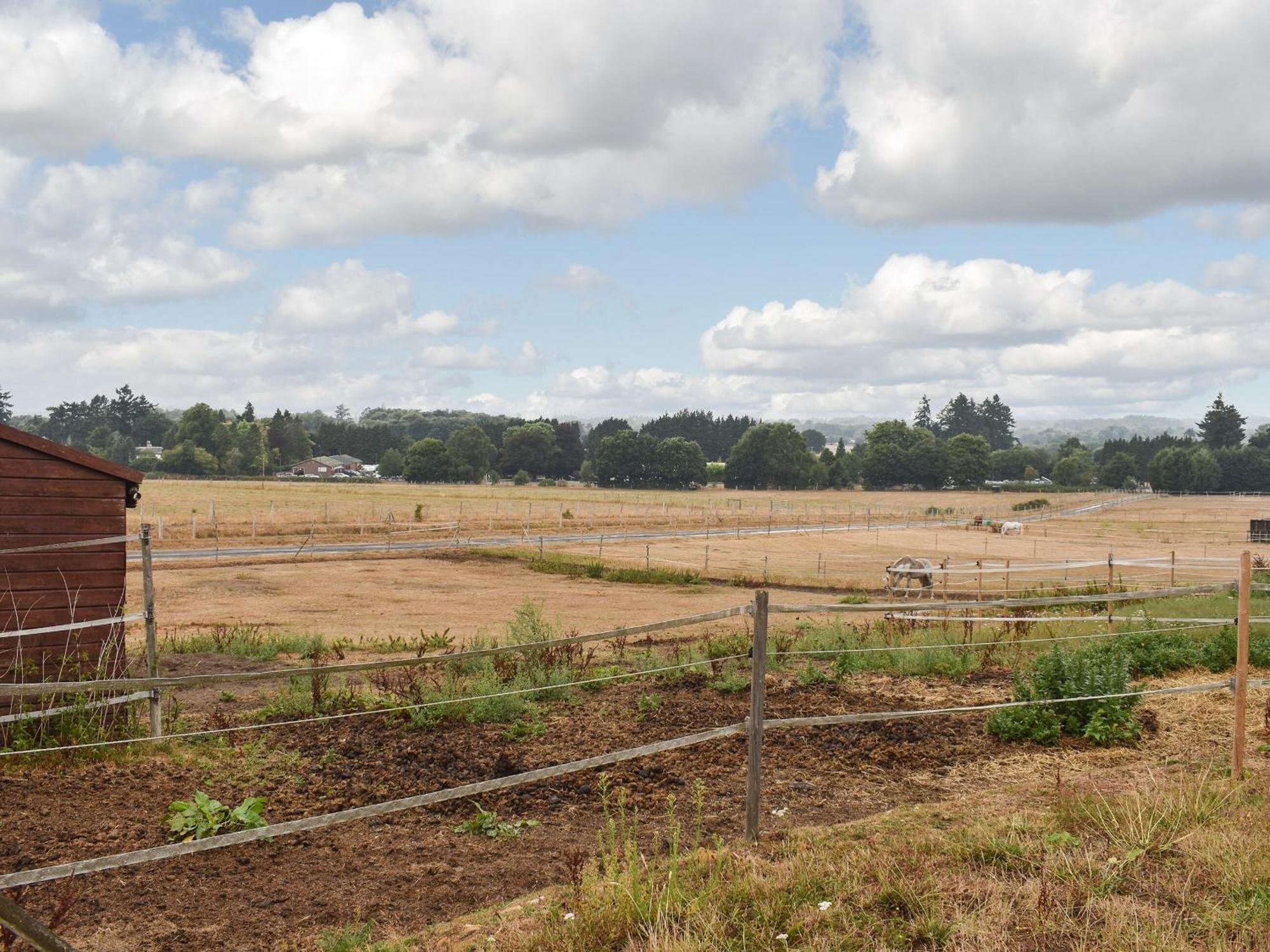 Villa South Wing Coldharbour Park Farm Rake Esterno foto